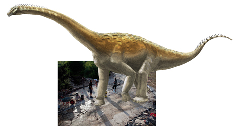Si le sauropode de Plagne marchait dans ses empreintes&hellip;