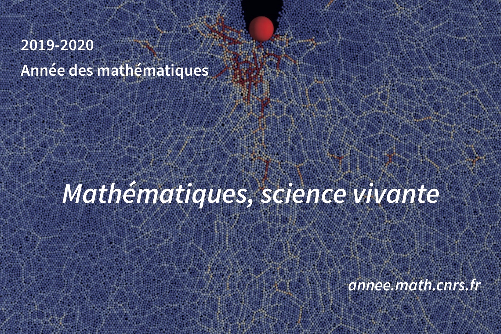 Visuel Ann&eacute;e des maths