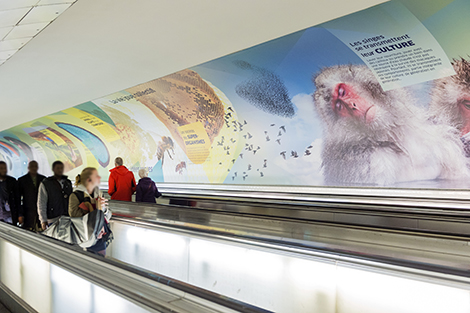 &laquo; &Eacute;tonnant Vivant &raquo; : une nouvelle exposition &agrave; la station Montparnasse-Bienven&uuml;e