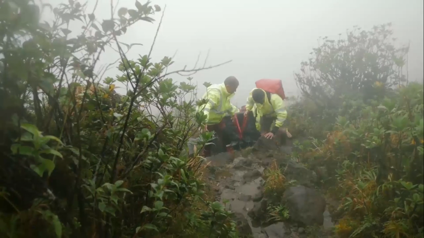 Deux hommes transportent du mat&eacute;riel scientifique en caisse au milieu de la jungle