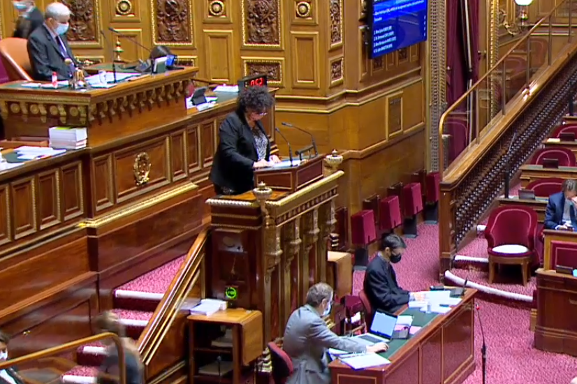 La ministre Fr&eacute;d&eacute;rique Vidal  d&eacute;fend le projet de loi au S&eacute;nat (Commission mixte paritaire, s&eacute;ance publique du 20 novembre 2020 matin). 