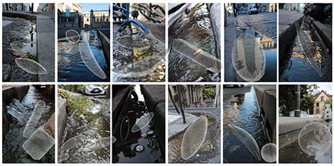 Diatom&eacute;es et caniveaux des rues de Paris.