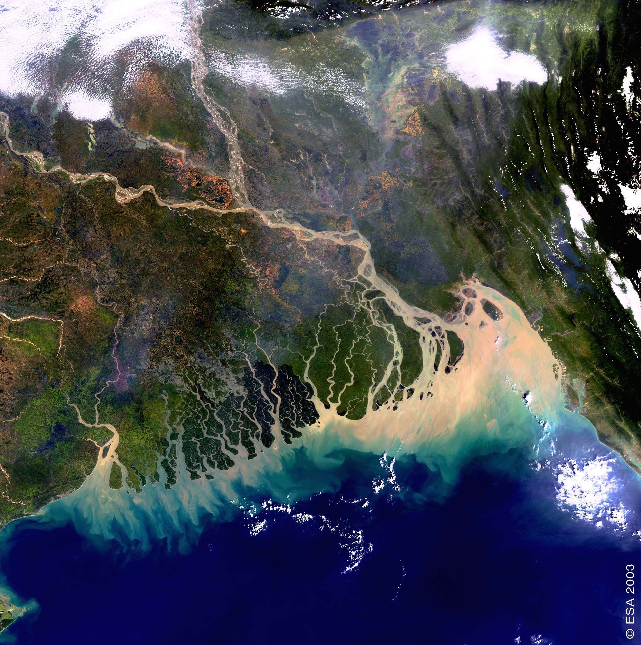 image satellite montrant la zone &eacute;tudi&eacute;e