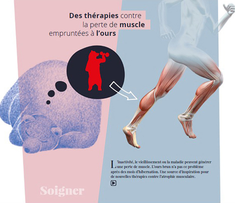 Extrait de l'exposition &laquo; Le vivant comme mod&egrave;le &raquo; dans le couloir de Montparnasse-Bienven&uuml;e.