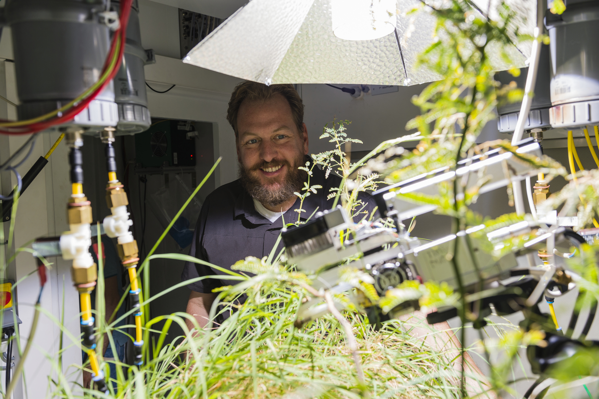 Simulateur environnemental d&eacute;di&eacute; &agrave; l'exp&eacute;rimentation en &eacute;cologie, cet &Eacute;colab permet d&rsquo;&eacute;tudier les effets du changement climatique sur des plantes, en variant les niveaux de s&eacute;cheresse et de pluie. &copy; Cyril FRESILLON / CEREEP / CNRS Phototh&egrave;que