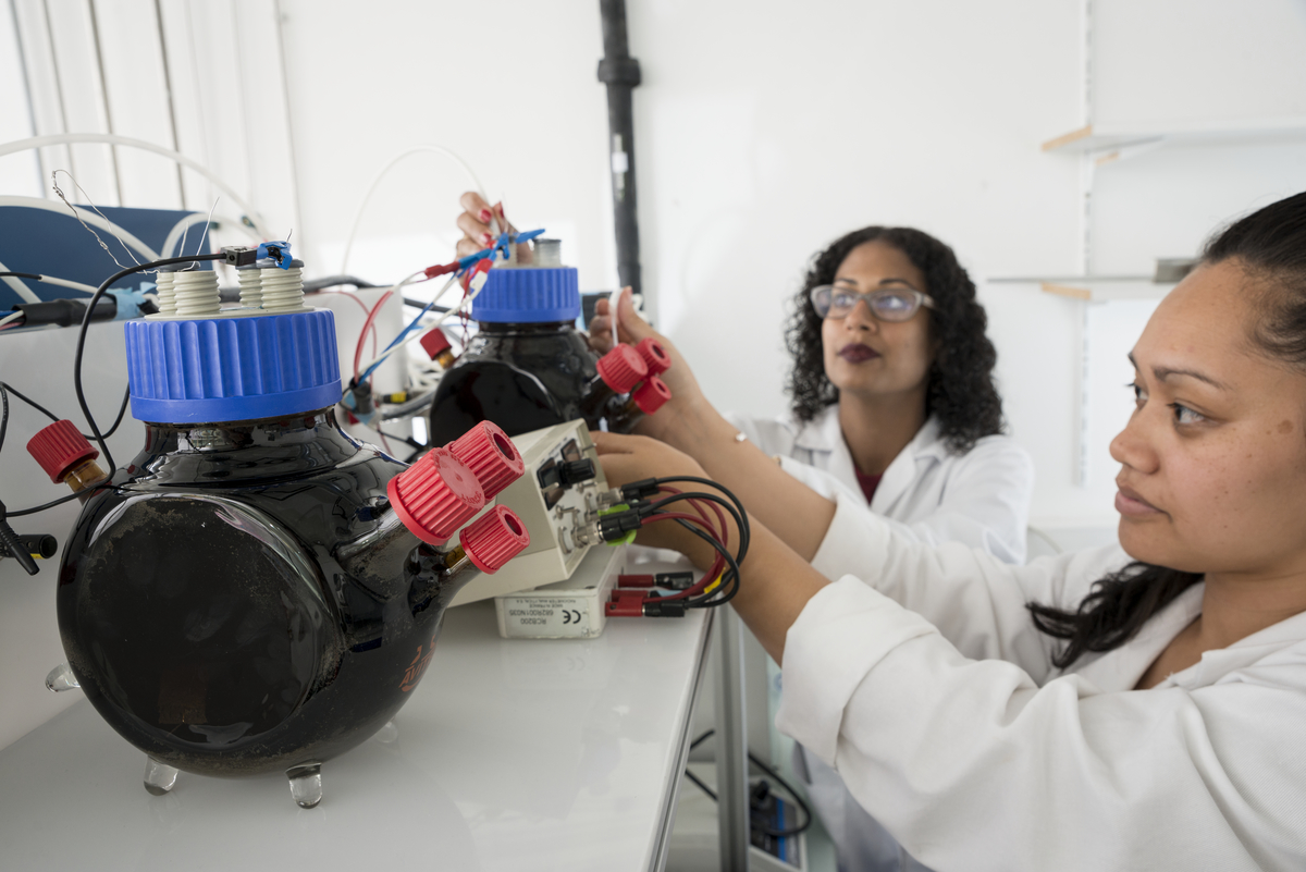 Formation d'un biofilm &eacute;lectroactif &agrave; partir de terreau de jardin