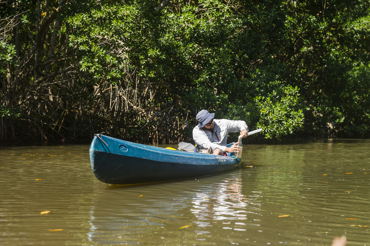 Pr&eacute;l&egrave;vement d'eau de la mangrove du Moule, en Guadeloupe
