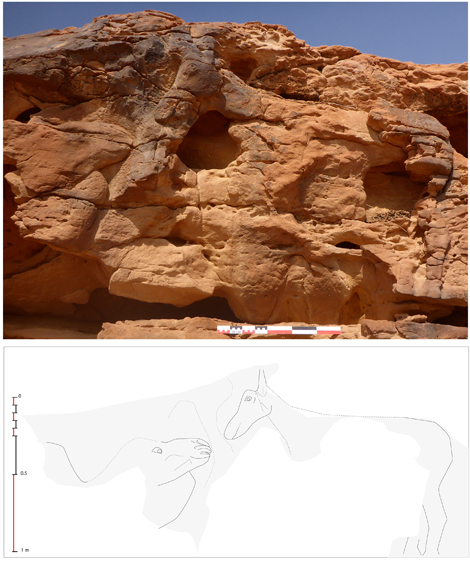 &copy; Antiquity - CNRS/MADAJ, G. Charloux  Rock relief depicting recumbent dromedary raising head towards an equid, possibly a donkey or mule.