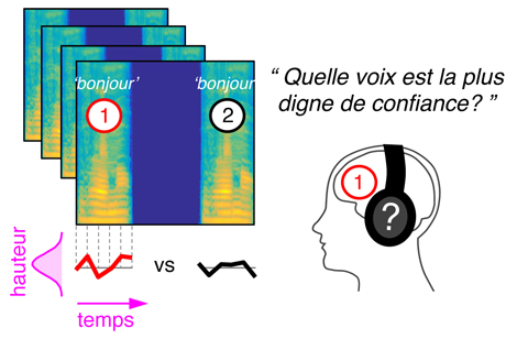 M&eacute;thodologie utilis&eacute;e pour acc&eacute;der aux &laquo; repr&eacute;sentations mentales &raquo; de l'intonation dans la voix. 