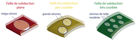 Lorsqu'une faille de subduction est plane (&agrave; gauche), le seuil de rupture est atteint en m&ecirc;me temps sur toute la zone, ce qui peut permettre le d&eacute;clenchement de m&eacute;ga-s&eacute;ismes. Au contraire, lorsque la plaque plongeante est tr&egrave;s courb&eacute;e, le seuil est plus h&eacute;t&eacute;rog&egrave;ne ce qui r&eacute;sulte en des s&eacute;ismes plus nombreux, mais de moindre magnitude.