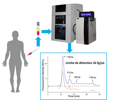BIABOOSTER : un dispositif plus sensible pour caract&eacute;riser l'ADN en circulation dans le sang