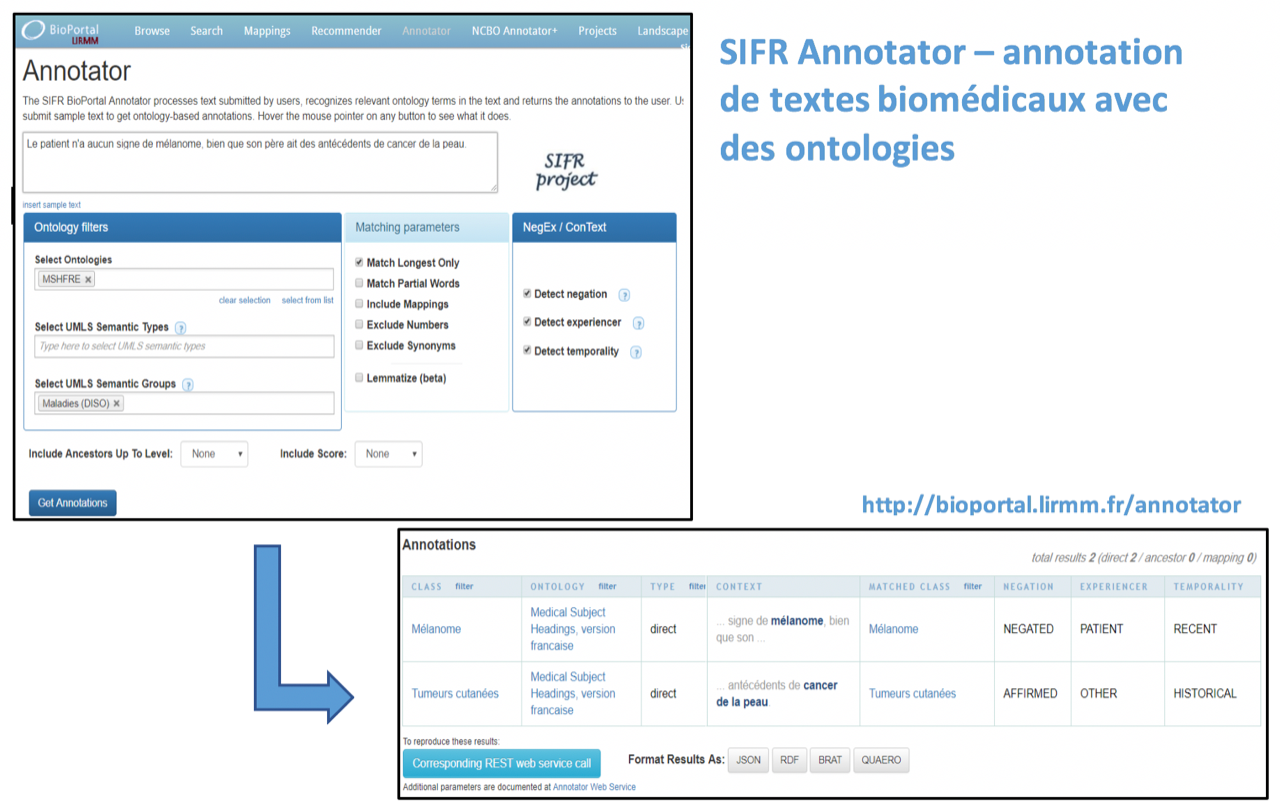 Capture d'&eacute;cran de l'annotateur de publications d&eacute;velopp&eacute; par le LIRMM-Stanford