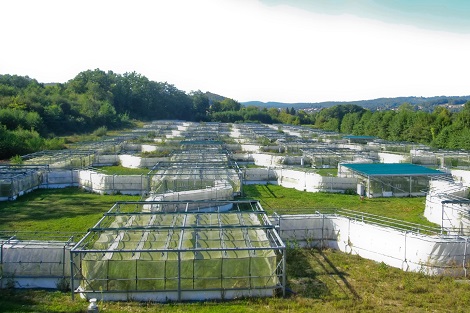 Le Metatron, un syst&egrave;me exp&eacute;rimental pour &eacute;tudier le r&eacute;chauffement climatique (Moulis 09).