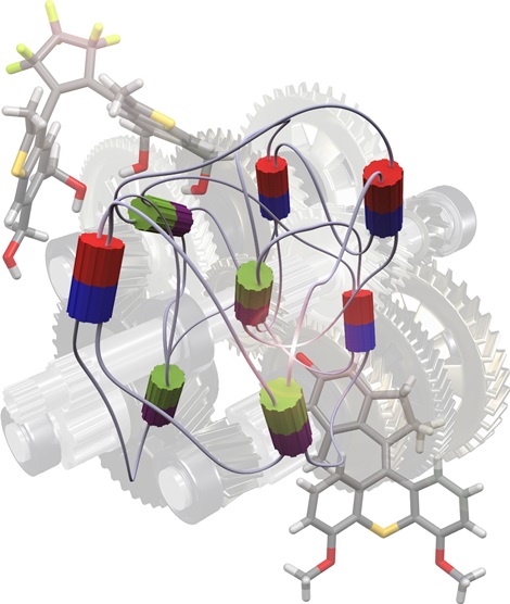Repr&eacute;sentation artistique d'une nanomachine associant des unit&eacute;s motrices (rouges et bleues) et des unit&eacute;s de d&eacute;brayage (vertes et violettes) et li&eacute;es par des unit&eacute;s de transmission (chaines polym&egrave;res repr&eacute;sent&eacute;es sous forme de fils). 