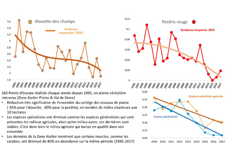 R&eacute;sultats CNRS dans la Zone atelier &laquo; Plaine & Val de S&egrave;vre &raquo;