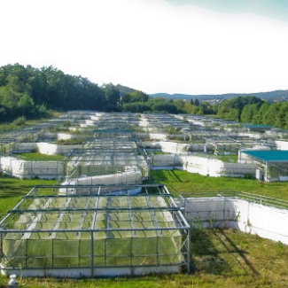 Does global warming threaten the gut microbiota ?